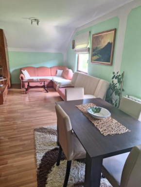 Apartman Sara Pale - Ski centar Ravna planina